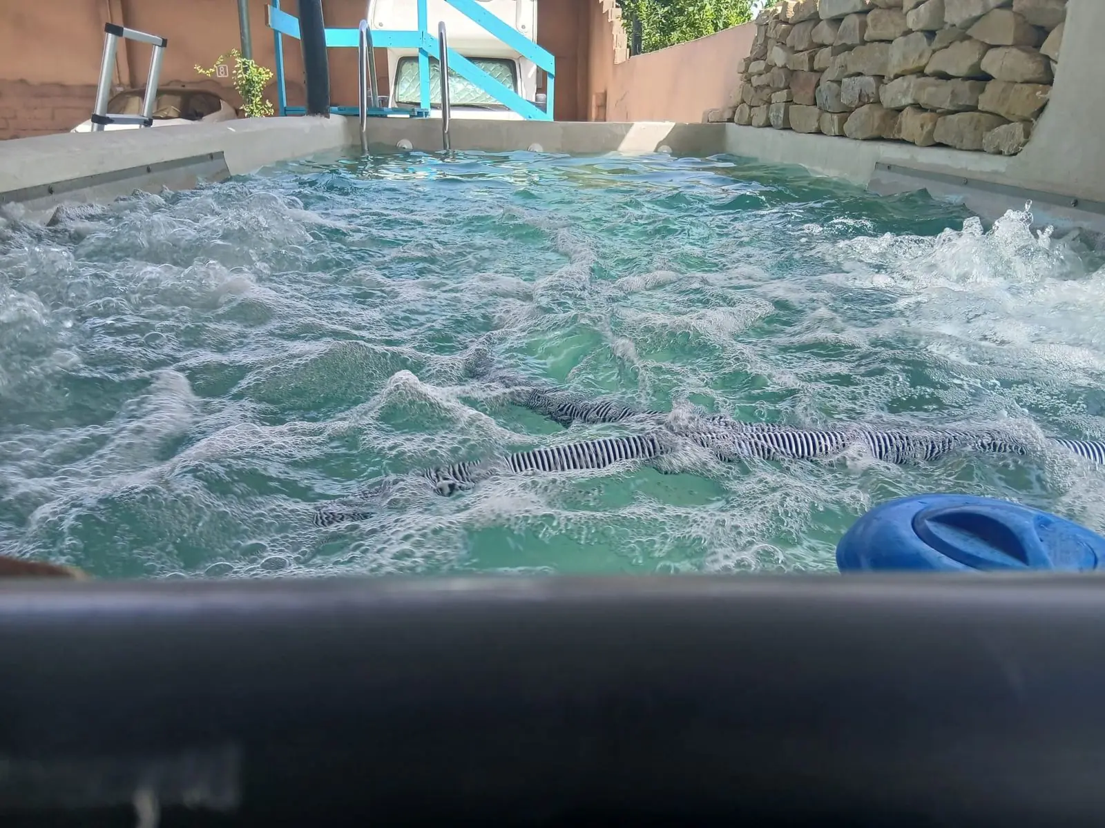 Piscina y jacuzzi del área